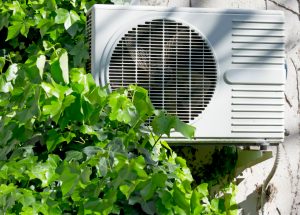 air conditioner and ivy